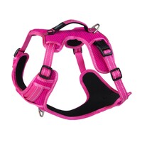 Rogz Explore Fanbelt postavljeni am L Pink