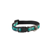Rogz Scooter klasična ogrlica Mint Dog 16mm - 5/8