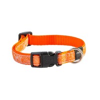 Rogz Scooter klasična ogrlica Orange Doodle 16mm - 5/8