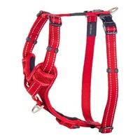 Rogz Fanbelt Control am L Crveni