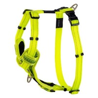 Rogz Fanbelt Control am L Limun Zeleni
