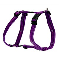 Rogz Beach Bum klasični am L Purple Chrome