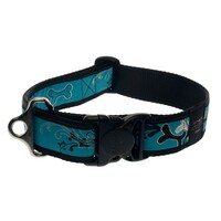 Rogz Special Agent klasična ogrlica Turquoise Chrome 40mm - 1 5/8