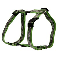 Rogz Armed Response klasični am XL Lime Bone