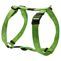 Rogz Everest klasični am XL Limun Zeleni