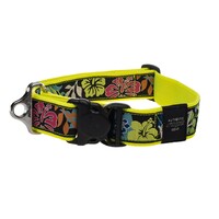 Rogz Special Agent klasična ogrlica Dayglo Floral 40mm - 1 5/8
