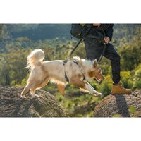 Rogz Explore Fanbelt postavljeni am L Crni