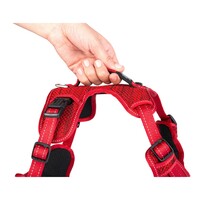 Rogz Explore Fanbelt postavljeni am L Crveni